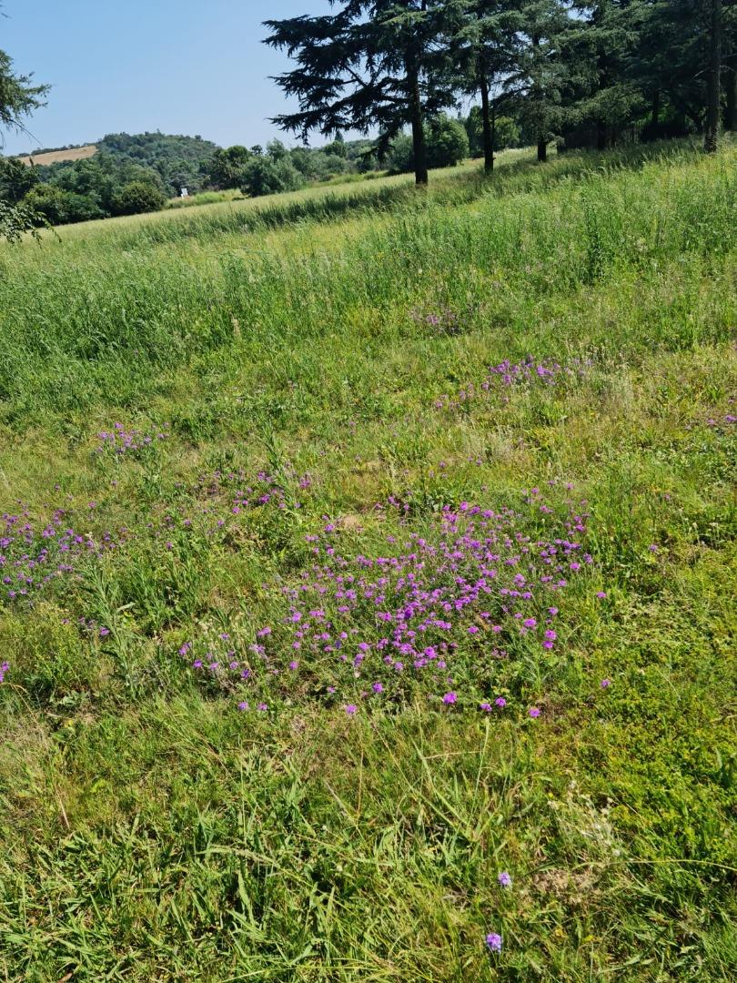 Vacant Land for Sale - Gauteng